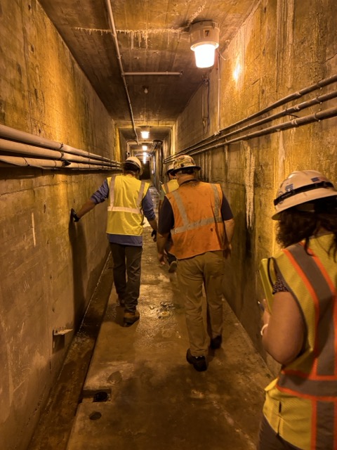 20240912_135904576_iOS Medium